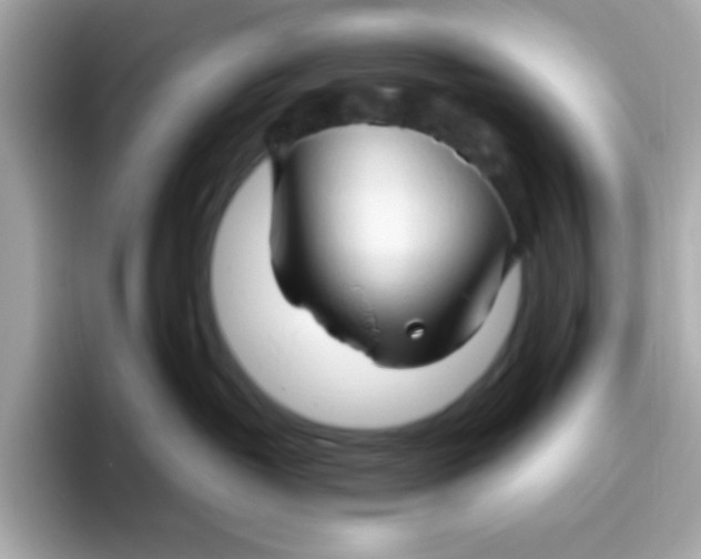 X0000096460382200802141537