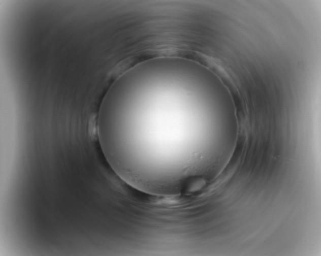X0000096460383200802141537