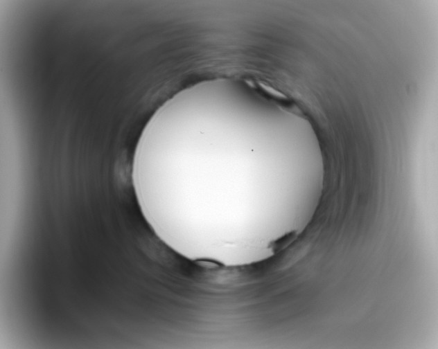X0000096460384200802141537