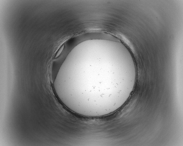 X0000096460385200802141536
