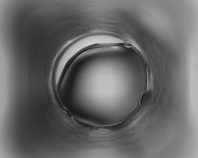 X0000096460387200802141536