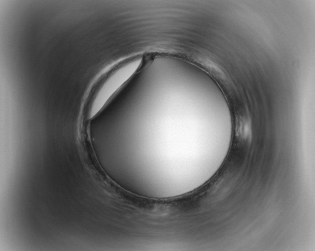 X0000096460388200802141536