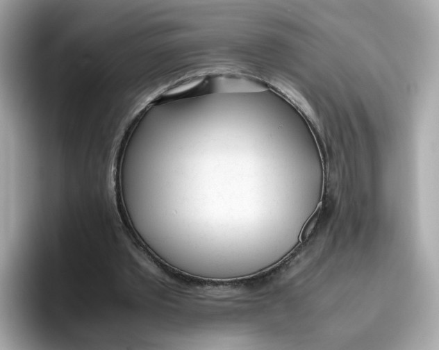 X0000096460389200802141536