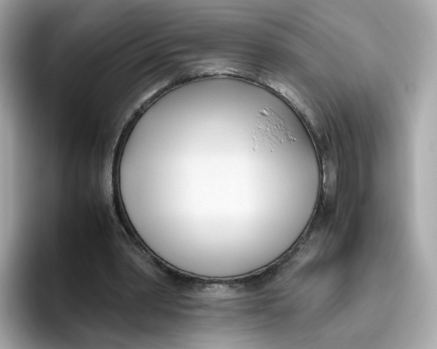 X0000096460390200802141536