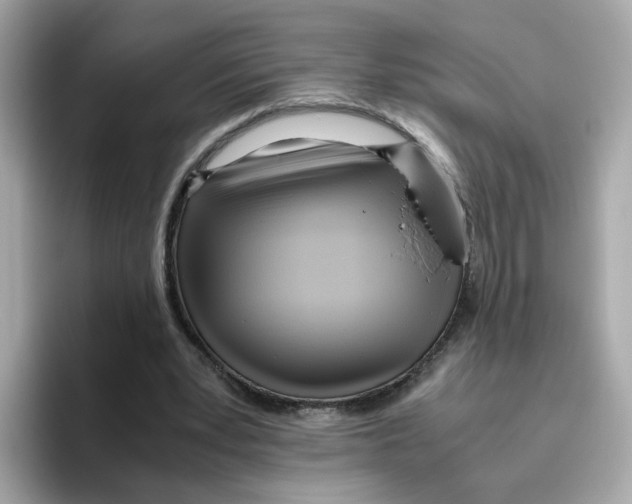 X0000096460391200802141536