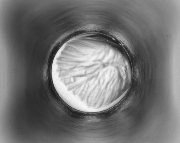 X0000096460392200802141536