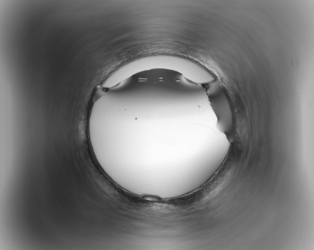 X0000096460393200802141536