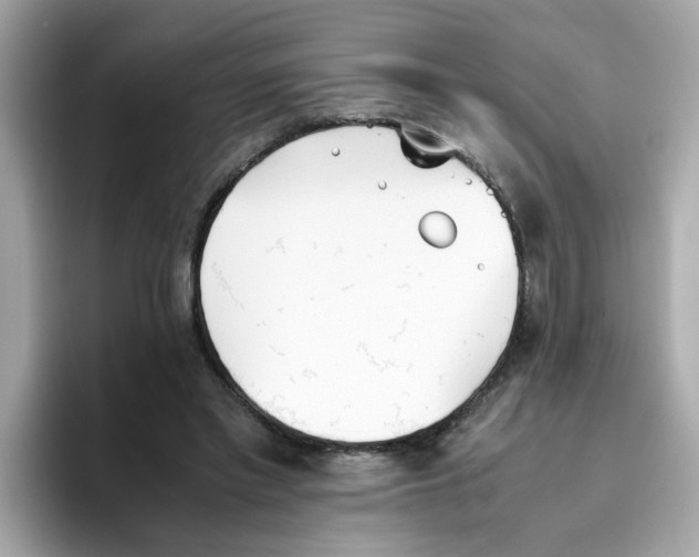 X0000096460397200802141536