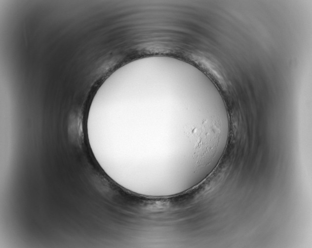 X0000096460398200802141536