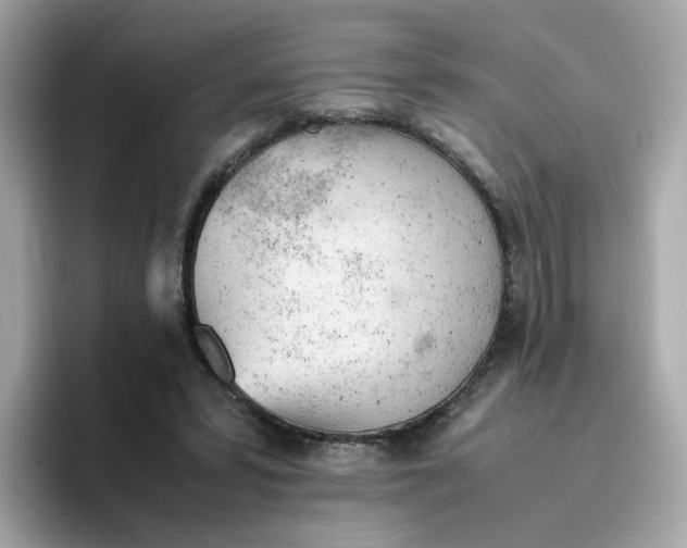 X0000096460399200802141536