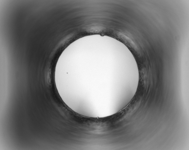 X0000096460400200802141536