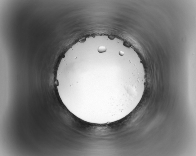 X0000096460401200802141536