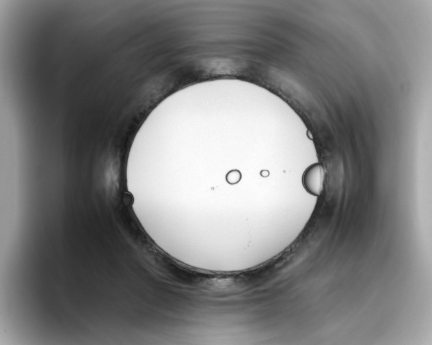 X0000096460406200802141536