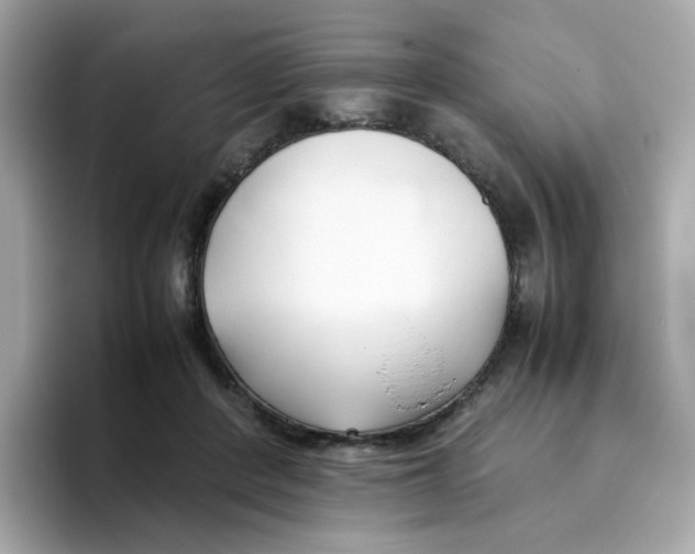 X0000096460408200802141536