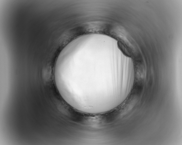 X0000096460411200802141536