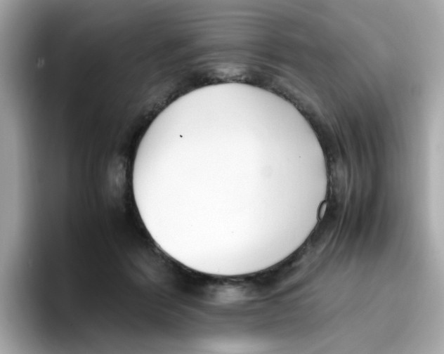 X0000096460412200802141536