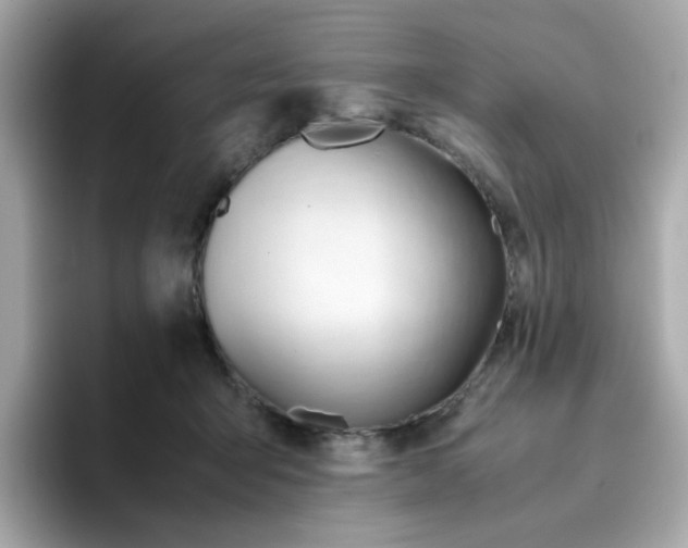X0000096460415200802141536