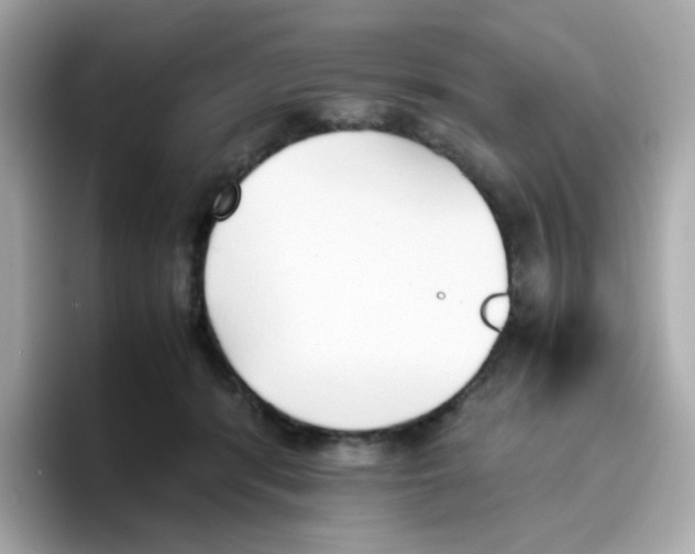 X0000096460416200802141536