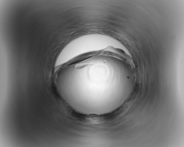 X0000096460417200802141536