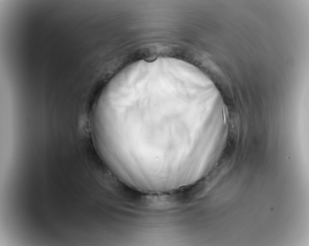X0000096460419200802141536