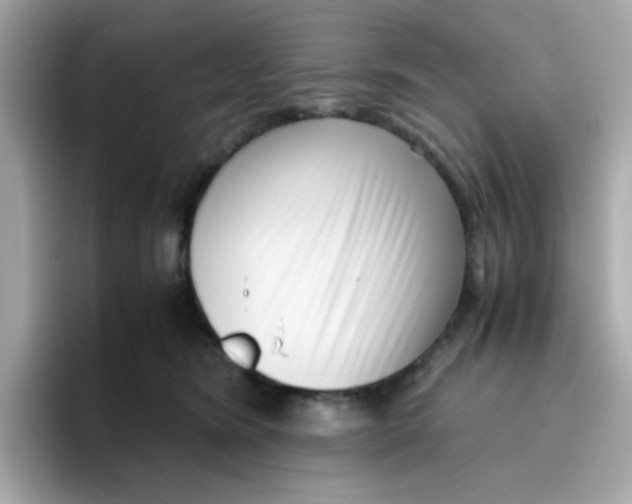 X0000096460420200802141536