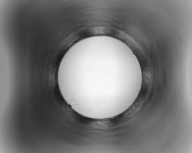 X0000096460422200802141536