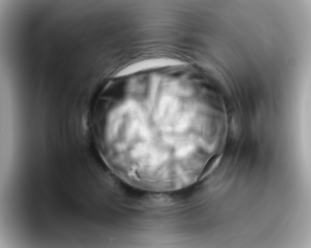 X0000096460424200802141536