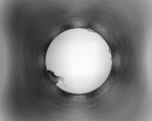 X0000096460426200802141536