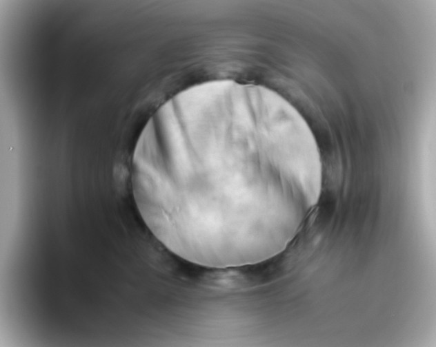 X0000096460427200802141536