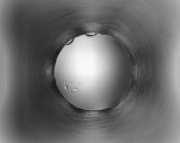 X0000096460428200802141536