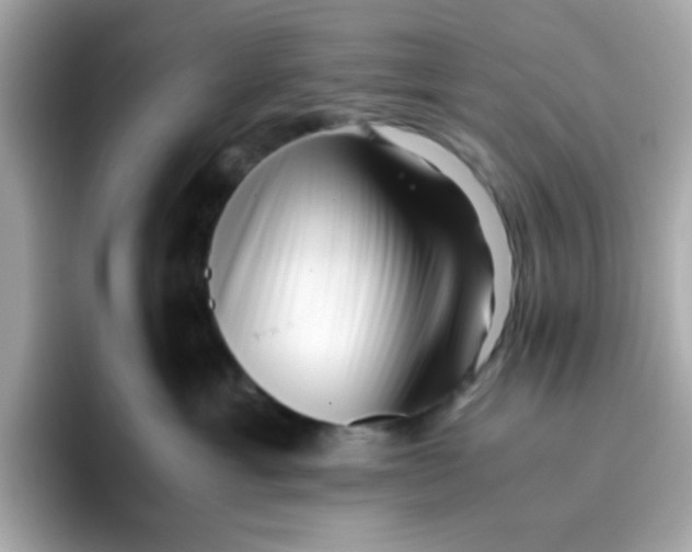 X0000096460429200802141536