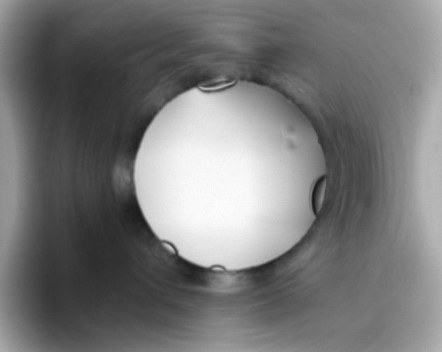 X0000096460432200802141536