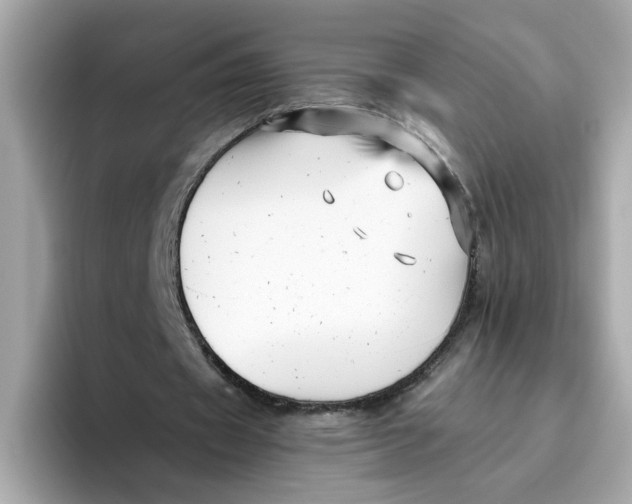 X0000096460433200802141535
