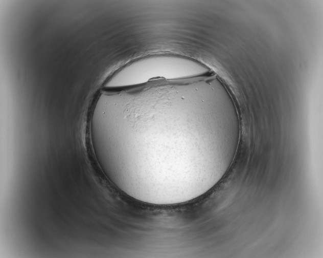 X0000096460434200802141535