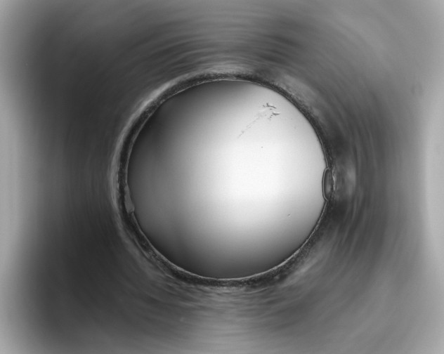 X0000096460436200802141535