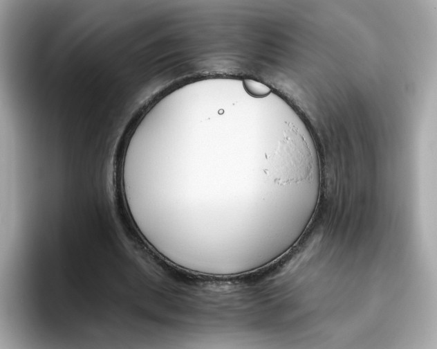 X0000096460439200802141535