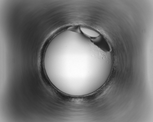 X0000096460440200802141535