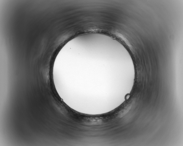 X0000096460443200802141535