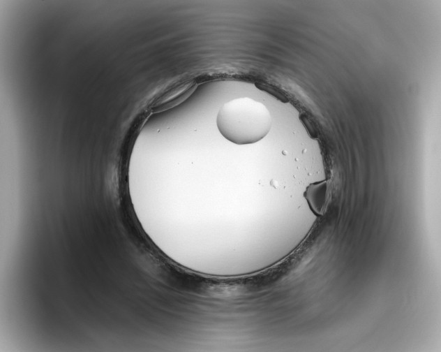 X0000096460444200802141535