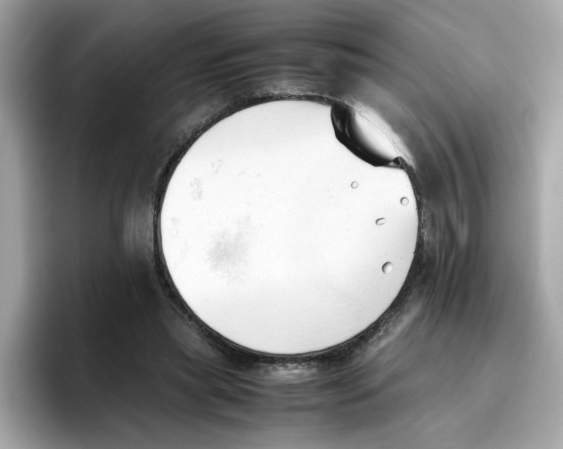X0000096460445200802141535