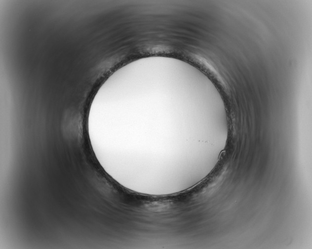 X0000096460447200802141535