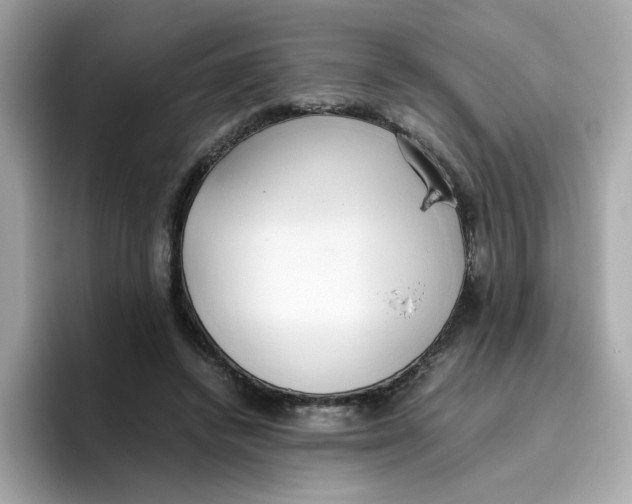 X0000096460448200802141535
