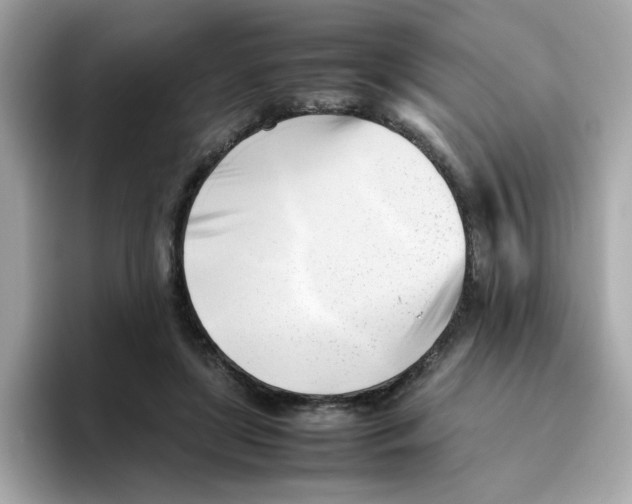 X0000096460451200802141535