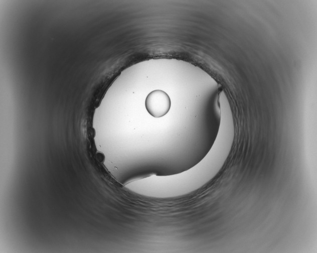 X0000096460452200802141535