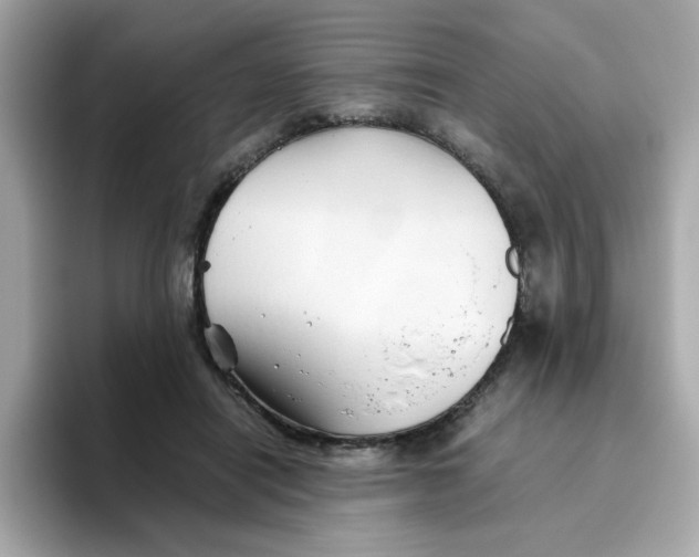 X0000096460454200802141535