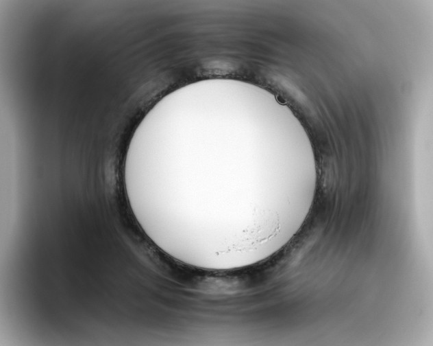 X0000096460455200802141535