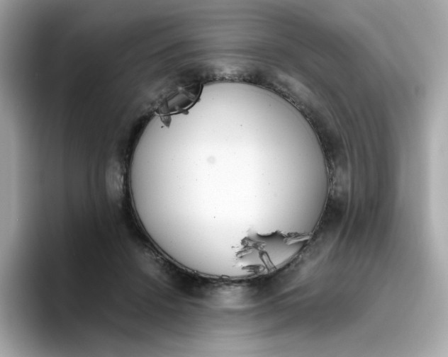 X0000096460456200802141535