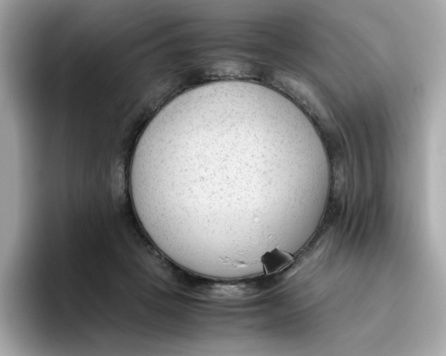 X0000096460457200802141535