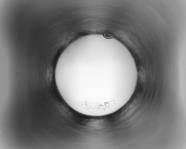 X0000096460458200802141535