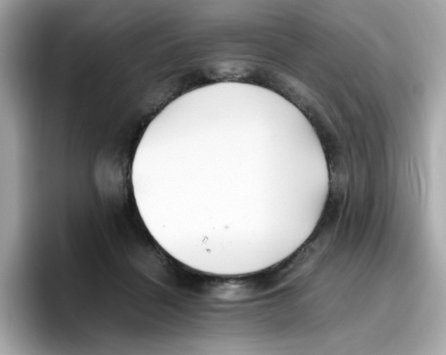 X0000096460460200802141535